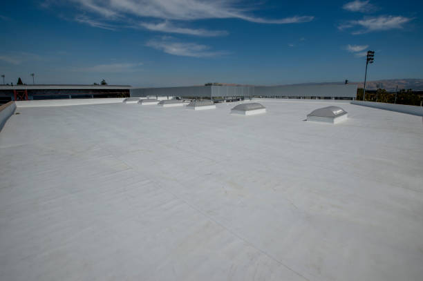Best Roof Maintenance and Cleaning  in Terrace Park, OH