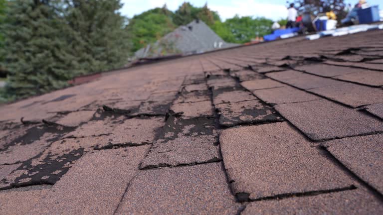 Best Metal Roofing Installation  in Terrace Park, OH